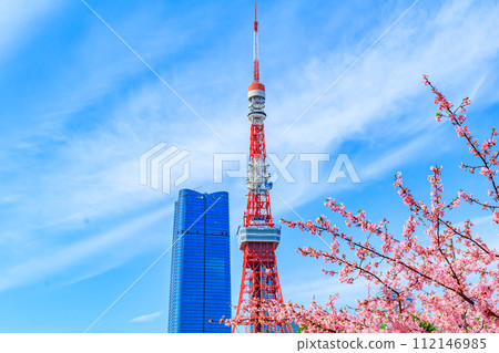 【季節都市風景】東京鐵塔、麻布台、河津櫻花(芝公園出發) 【季節都市風景】東京鐵塔、麻布台、河津櫻花(芝公園出發) 112146985