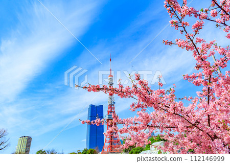 【季節都市風景】東京鐵塔、麻布台、河津櫻花(芝公園出發) 【季節都市風景】東京鐵塔、麻布台、河津櫻花(芝公園出發) 112146999