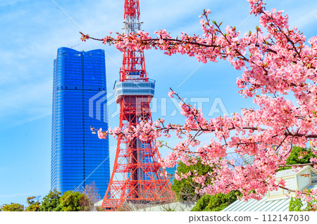 【季節都市風景】東京鐵塔、麻布台、河津櫻花(芝公園出發) 【季節都市風景】東京鐵塔、麻布台、河津櫻花(芝公園出發) 112147030