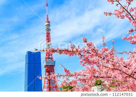 【季節都市風景】東京鐵塔、麻布台、河津櫻花(芝公園出發) 【季節都市風景】東京鐵塔、麻布台、河津櫻花(芝公園出發) 112147031