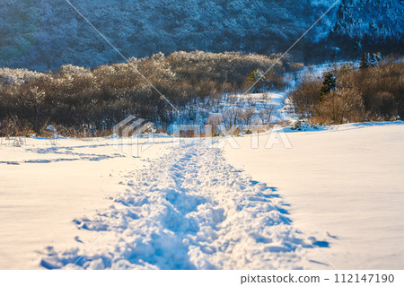 雪原上留下的痕跡 雪原上留下的痕跡 112147190