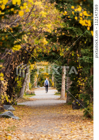 People walking in a tunnel of forest trees. Spur Line Trail in fall season. Canmore, Alberta, Canada. 112147369