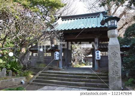 藤澤定隆寺 梅花盛開時 112147694
