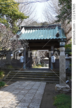 Fujisawa Joryuji Temple When plum blossoms bloom Fujisawa Joryuji Temple When plum blossoms bloom 112147695