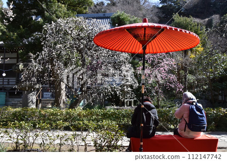 有紅傘和梅花的藤澤定隆寺 有紅傘和梅花的藤澤定隆寺 112147742