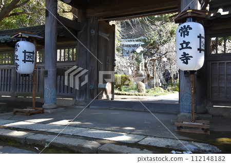 藤澤定隆寺 梅花盛開時 112148182