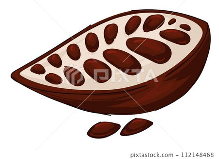 Cocoa pod, aromatic culinary ingredient vector 112148468
