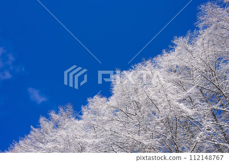 雪山和藍天的風景 雪山和藍天的風景 112148767