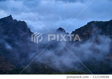 Spain Andalucia spring surrounding lonely tree mountains clouds tunnel 112149086