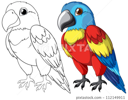 Colorful Parrot Illustration Before and After 112149911