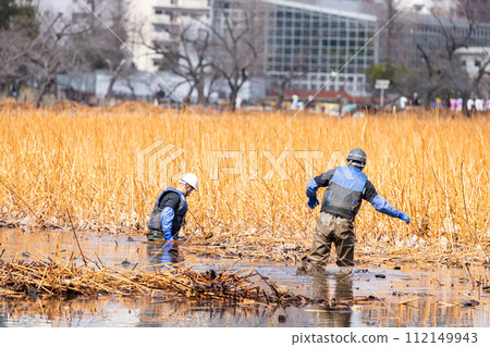 Shinobazu Pond cleaning work 112149943