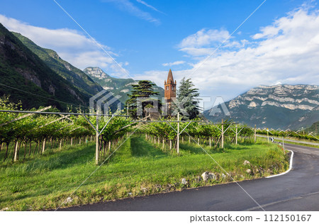 mountain vineyards in the Trento region 112150167