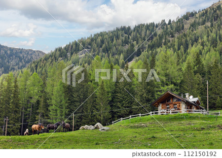 mountain scenery in the region of Trento mountain scenery in the region of Trento 112150192