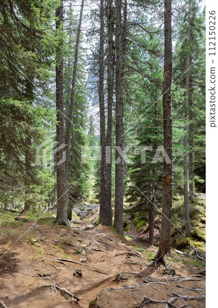 Cinema delle Odle in the Italian Alps 112150226