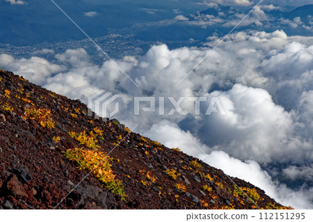 Yellow leaves on the Mt. Fuji/Yoshida mountain trail and Fujiyoshida city Yellow leaves on the Mt. Fuji/Yoshida mountain trail and Fujiyoshida city 112151295