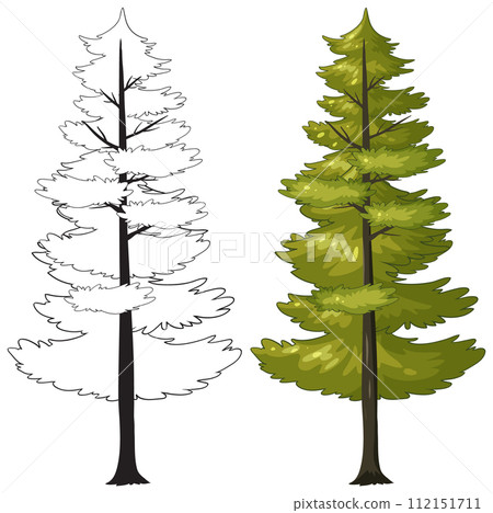 Pine Tree Vector Illustration Before and After Pine Tree Vector Illustration Before and After 112151711