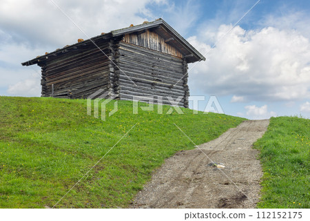 Alpe di Siusi in the Dolomites Italy 112152175