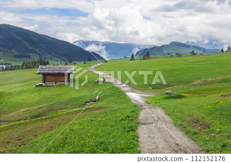 Alpe di Siusi in the Dolomites Italy Alpe di Siusi in the Dolomites Italy 112152176