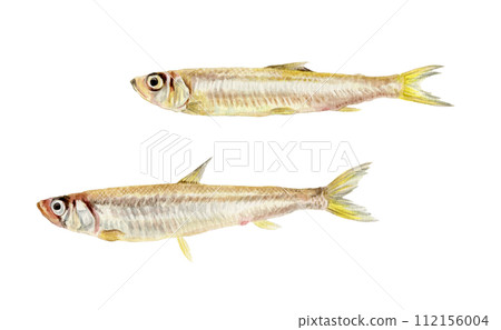 聞聞手繪水彩 112156004