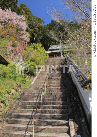 The approach to the main hall of Byodoji Temple, the 22nd temple of the Shikoku sacred site The approach to the main hall of Byodoji Temple, the 22nd temple of the Shikoku sacred site 112156719