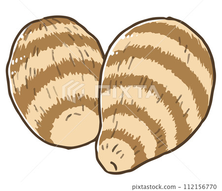 Taro line drawing 112156770