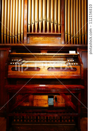 蘆葦器官 112156810