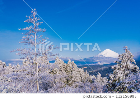 (靜岡縣)白霜覆蓋的十國峠、富士山景觀 (靜岡縣)白霜覆蓋的十國峠、富士山景觀 112156993