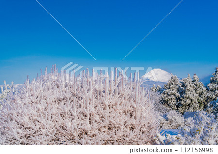 （靜岡縣）白霜覆蓋的十國峠、富士山景觀 112156998