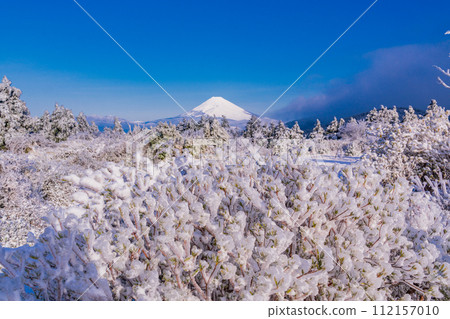 (Shizuoka Prefecture) Jukoku Pass covered in hoarfrost, Mt. Fuji view 112157010