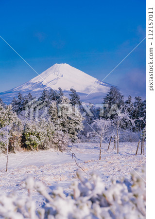 (Shizuoka Prefecture) Jukoku Pass covered in hoarfrost, Mt. Fuji view 112157011