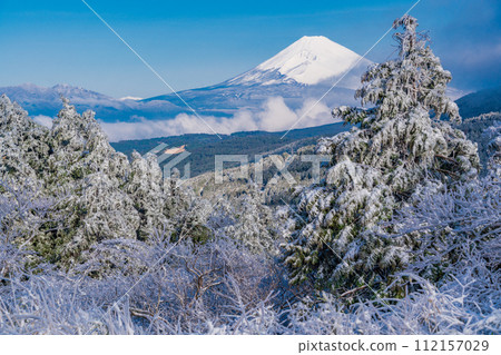 (Shizuoka Prefecture) Jukoku Pass covered in hoarfrost, Mt. Fuji view 112157029