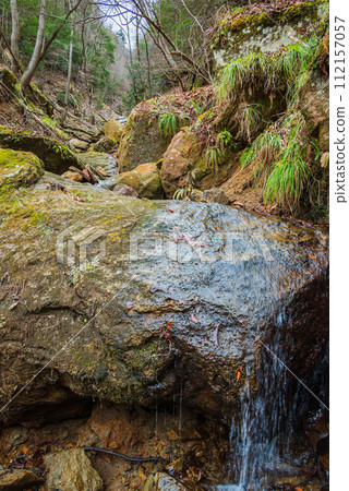 [Yanseiji] Sawa water flowing into the Sai River [Ikusaka Village, Higashichikuma District] 112157057