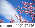 河津櫻花樹和雲 112157456