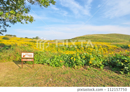 山口縣美你市的旅遊勝地“秋吉台 Karstrode” 112157750