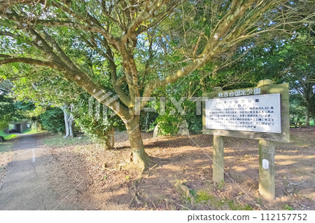 山口縣美你市的人氣觀光地秋吉台的長子神森 山口縣美你市的人氣觀光地秋吉台的長子神森 112157752