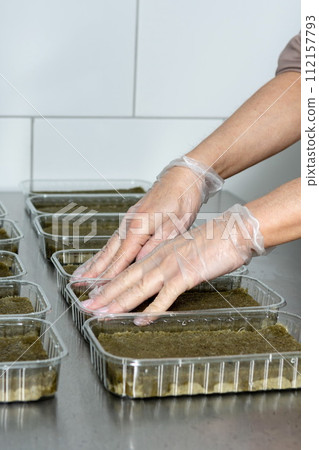 Planting micro-greens on mineral wool for growing seeds in a greenhouse. Micro-green farm. Production of vitamin nutrition,blurred focus Planting micro-greens on mineral wool for growing seeds in a greenhouse. Micro-green farm. Production of vitamin nutrition,blurred focus 112157793