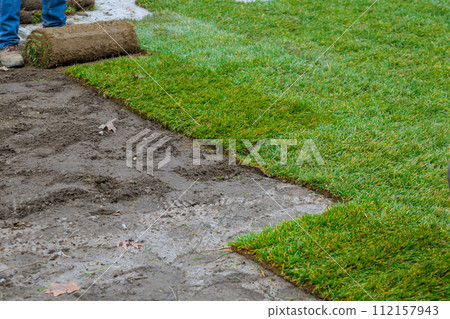 Rolls of turf natural grass are laid on ground for landscaping purposes by man Rolls of turf natural grass are laid on ground for landscaping purposes by man 112157943