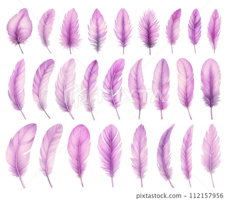 紫色鳥羽毛水彩插畫素材集 112157956