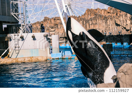 [#Aquarium] Orca 112159927