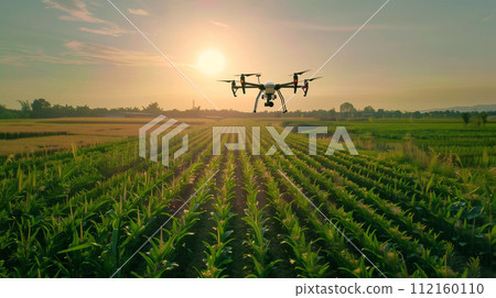 A modern drone hovers above a lush cornfield, capturing the essence of precision agriculture and farming technology at dawn. 112160110