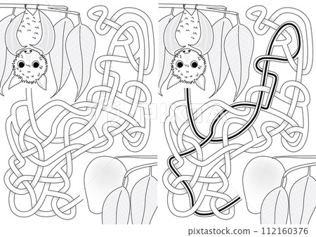 Fruit bat maze 112160376