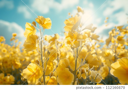 Background illustration about spring. There are flowers in the meadow in the beautiful morning sunlight with a blurred background makes you feel refreshed and want to create new things or start over. 112160870
