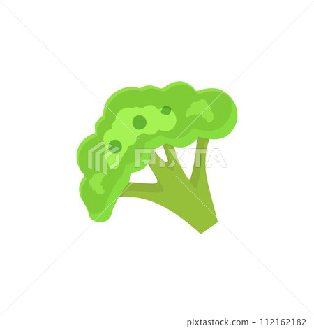 Broccoli Icon vector. Broccoli vegetable fresh farm healthy food. Broccoli colorful realistic icon vegetables symbol on white background. 112162182