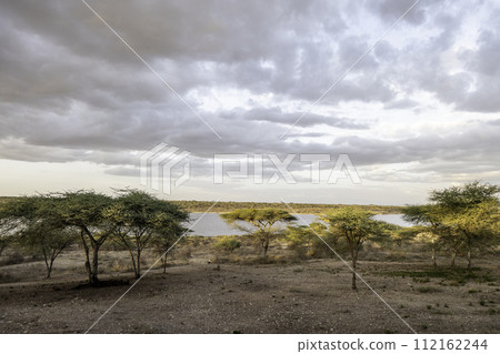 Tanzania, Serengeti, end of day landscape around Lake Masek 112162244