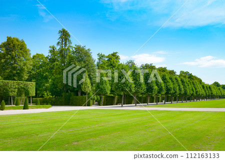 beautiful alley in the park 112163133