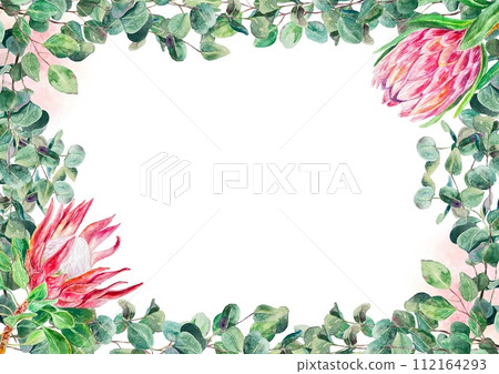 Protea watercolor frame, horizontal. Hand drawn pink flowers with eucalyptus isolated on white background. Cards, wedding invitations, labels, covers. Protea watercolor frame, horizontal. Hand drawn pink flowers with eucalyptus isolated on white background. Cards, wedding invitations, labels, covers. 112164293