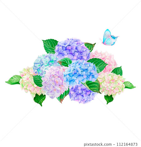 Watercolor drawing. Delicate bouquet, composition with garden flowers. Blue, sky blue and lilac hydrangeas, green hydrangea leaves. Isolated on white background clipart 112164873
