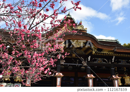 Kitano Tenmangu Shrine Red Plum Blossoms and Worship Hall [National Treasure] 112167839