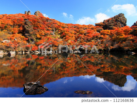 紅葉的大船山禦池（竹田市九重山） 112168636