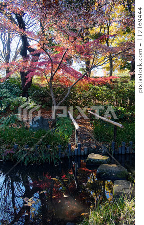 都築民花園的秋景 都築民花園的秋景 112169444